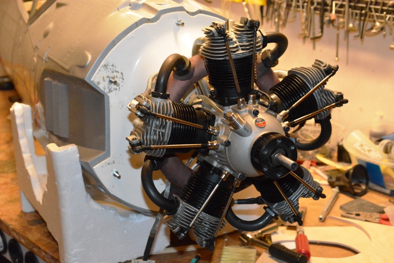 Klicka på bilden för större version

Namn: DSC_2345.JPG
Visningar: 1
Storlek: 198,8 KB
ID: 501925