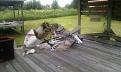 Klicka på bilden för större version

Namn: IMAG0079.jpg
Visningar: 269
Storlek: 52,1 KB
ID: 519000